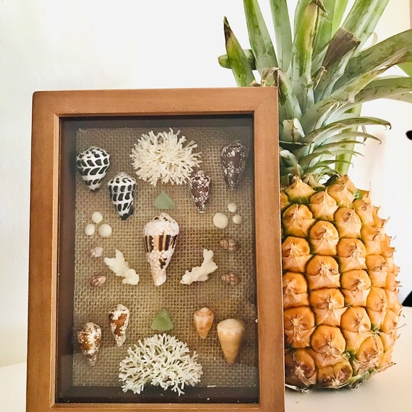 Rare Hawaiian Shell Art Shadowbox - Picture 3 of 3